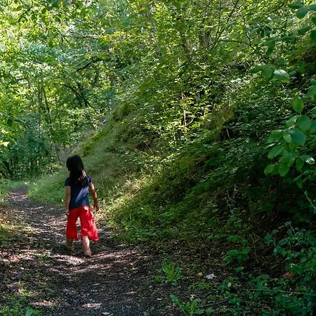 Bockenauer Schweiz * Bockenau