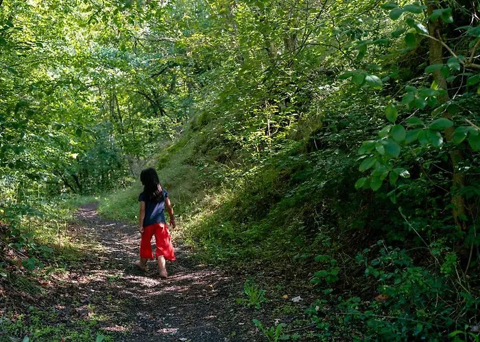 Bockenauer Schweiz * Bockenau